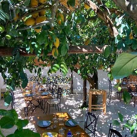 מונטה די פרוצ'ידה Don Salvatore Resort מראה חיצוני תמונה