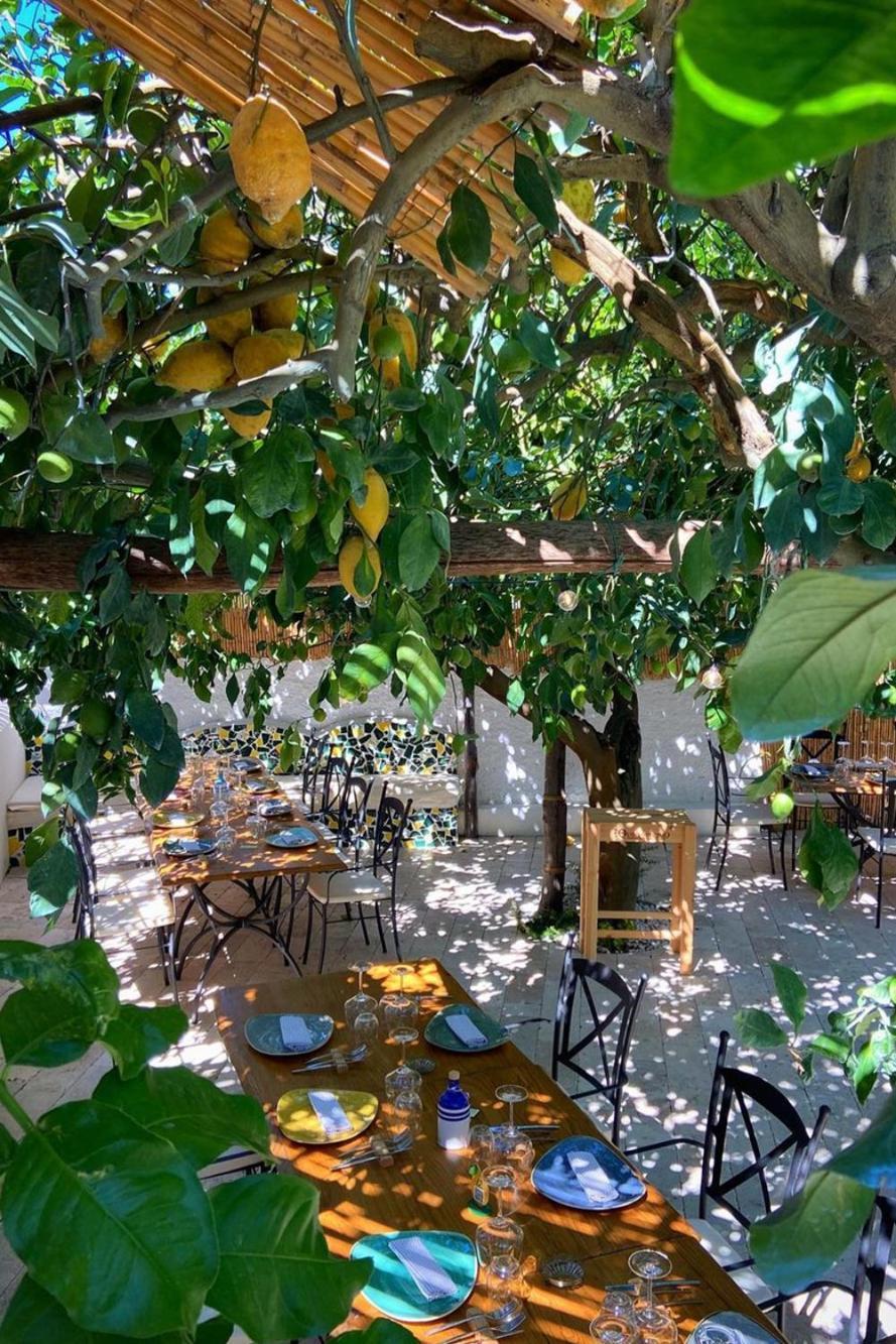 מונטה די פרוצ'ידה Don Salvatore Resort מראה חיצוני תמונה